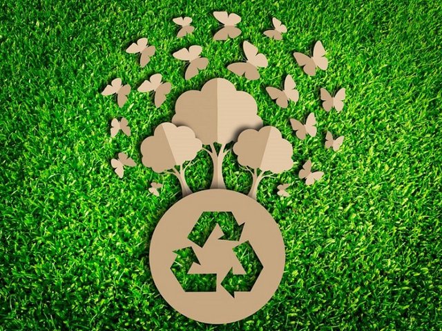 GIORNATA ECOLOGICA